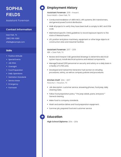 Resume example 5