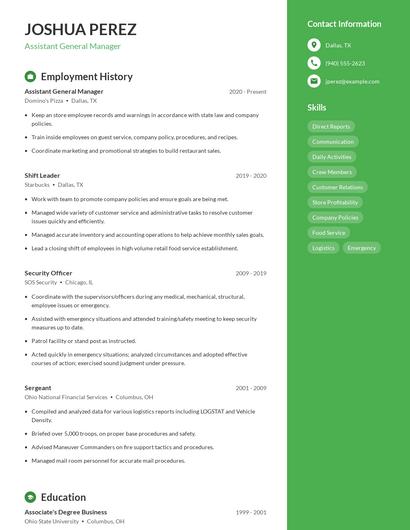 Resume example 4