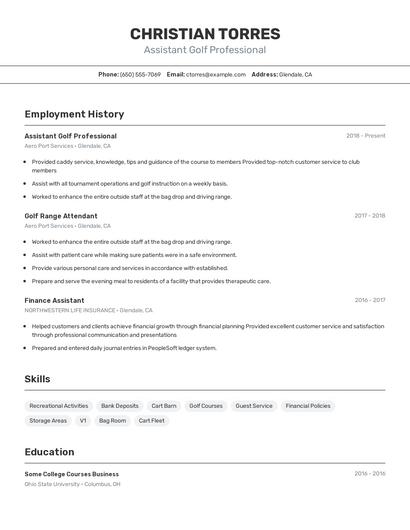 Resume example 2