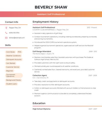 Resume example 3