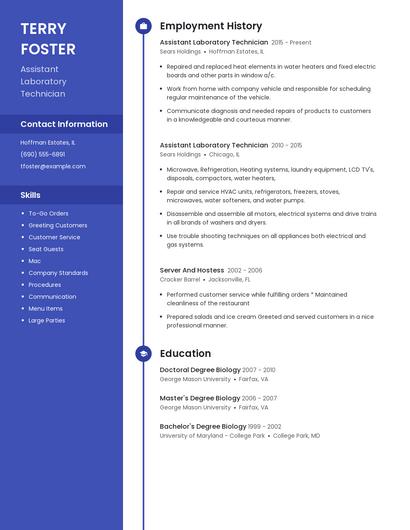 Resume example 5