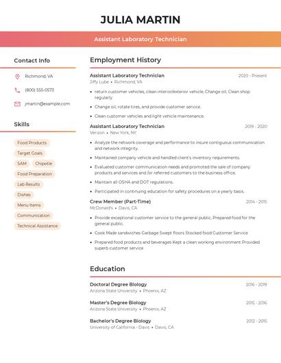 Resume example 3