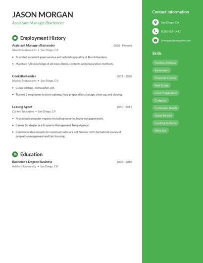 Resume example 4