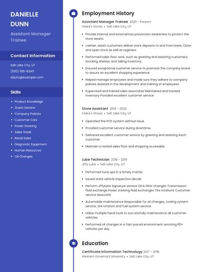 Resume example 5