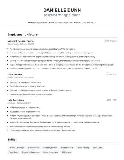 Resume example 2