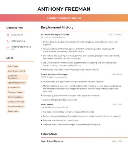 Resume example 3