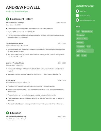 Resume example 4