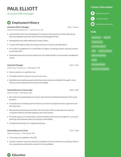 Resume example 4