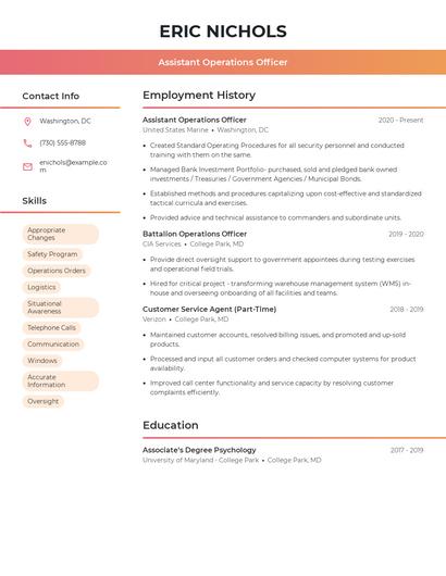 Resume example 3