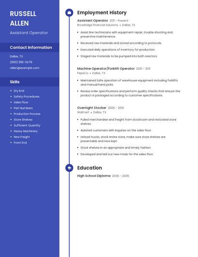Resume example 5