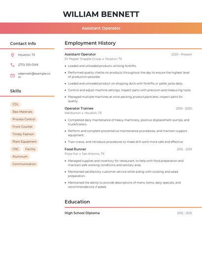 Resume example 3