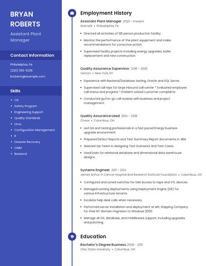 Resume example 4
