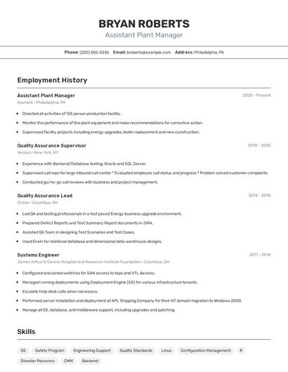 Resume example 2