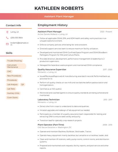 Resume example 3