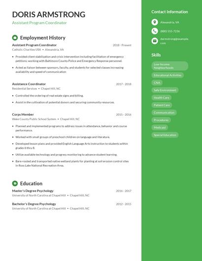 Resume example 4