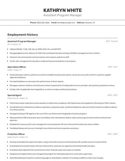 Resume example 2