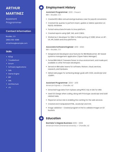 Assistant Programmer Resume