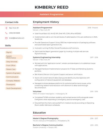 Assistant Programmer Resume