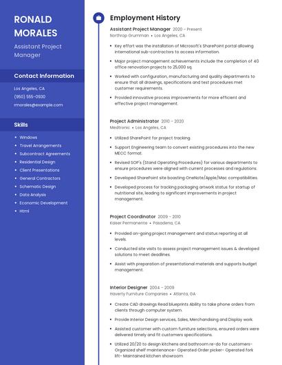 Resume example 5