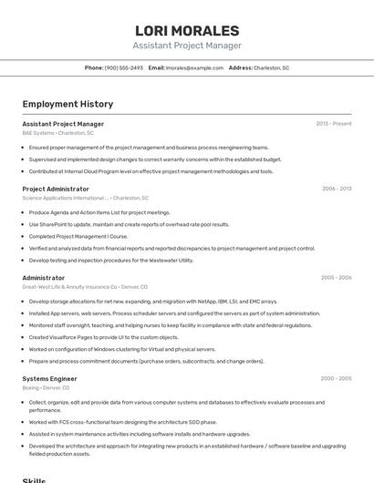 Resume example 2