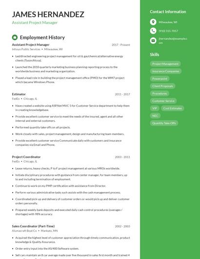 Resume example 4