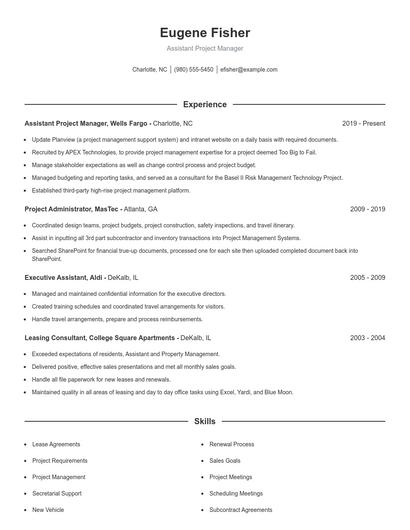 Resume example 1