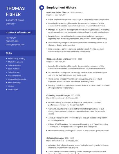 Assistant Sales Director Resume