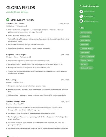 Assistant Sales Director Resume