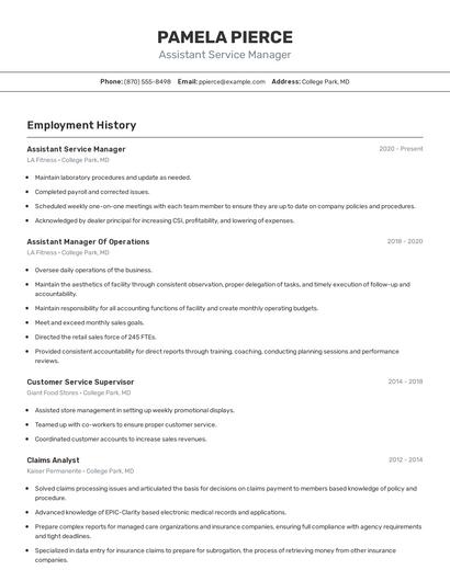Resume example 2