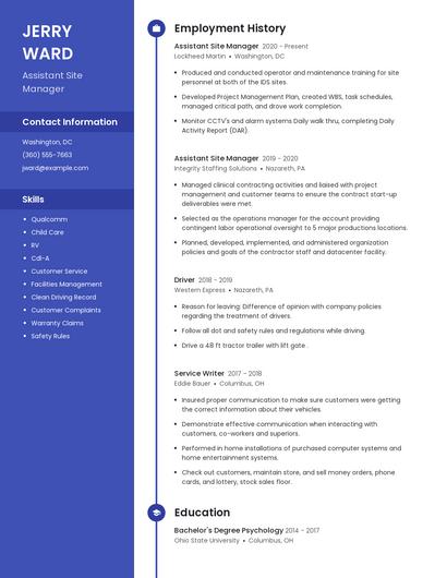 Resume example 5