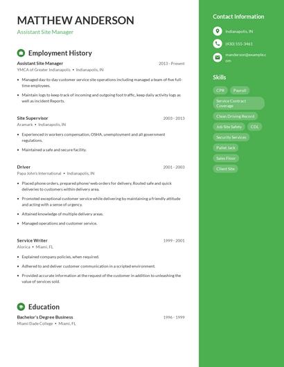 Resume example 4
