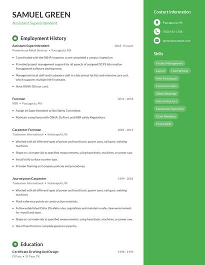 Resume example 5