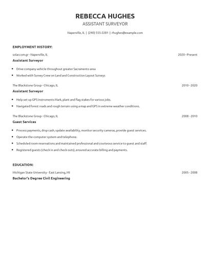 Assistant Surveyor Resume