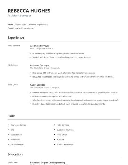 Assistant Surveyor Resume