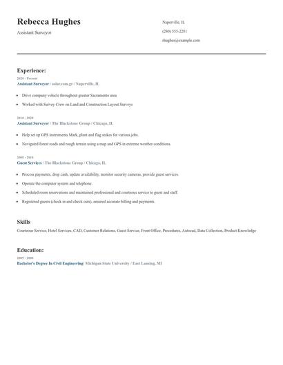 Assistant Surveyor Resume
