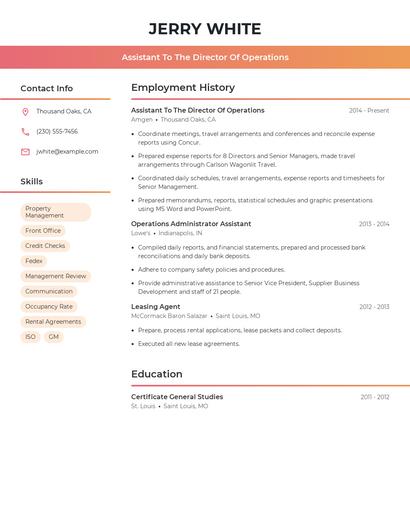 Resume example 3