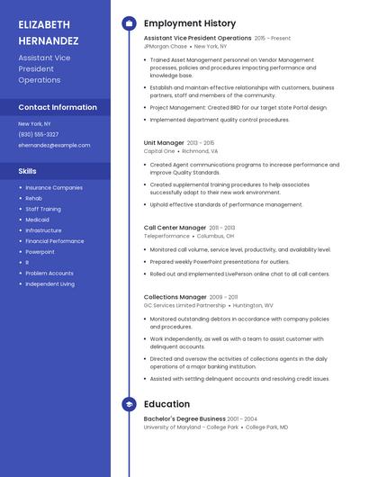 Assistant Vice President Operations Resume