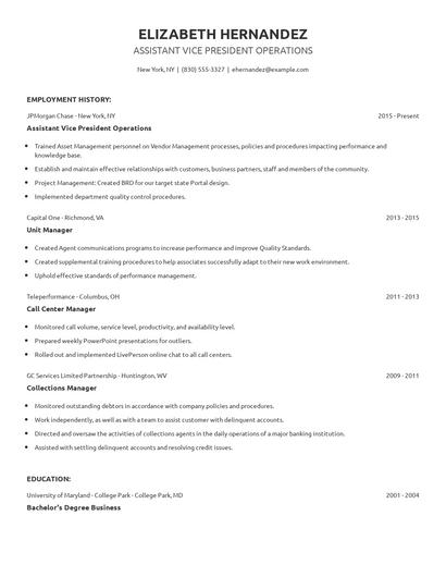 Assistant Vice President Operations Resume