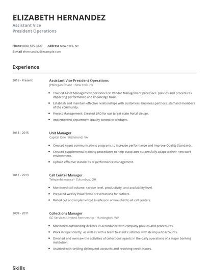 Assistant Vice President Operations Resume