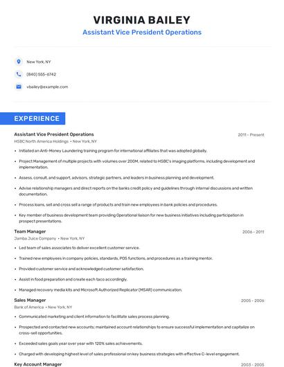 Assistant Vice President Operations Resume