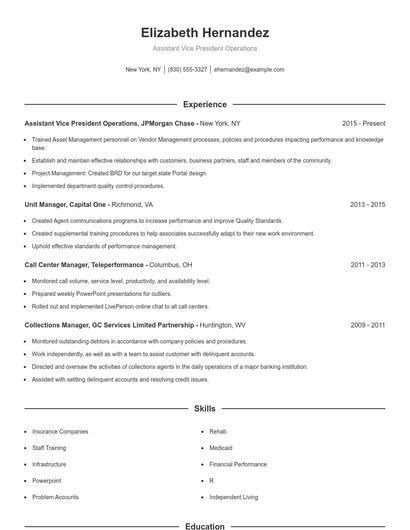 Assistant Vice President Operations Resume