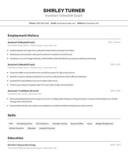 Resume example 2