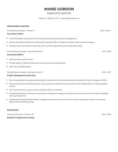 Associate Auditor Resume