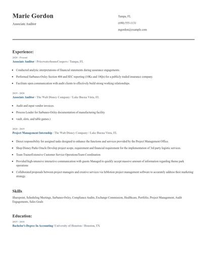 Associate Auditor Resume