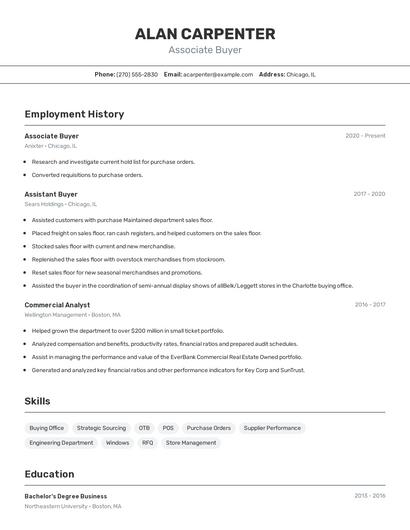 Resume example 2