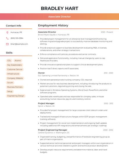 Associate Director Resume