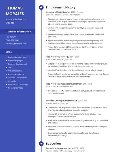 Associate Media Director Resume