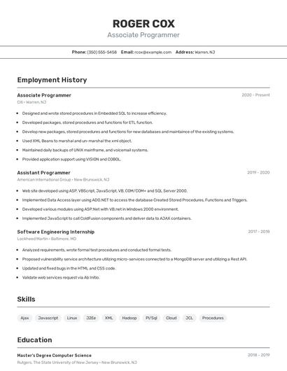 Associate Programmer Resume