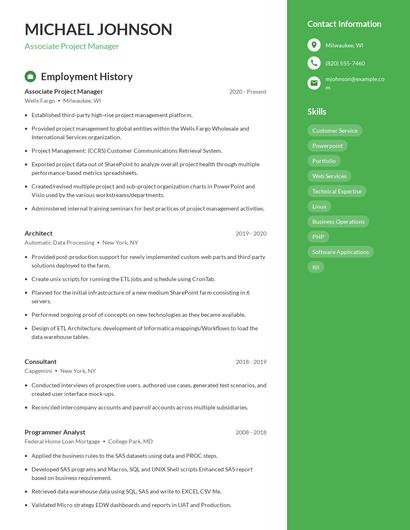 Resume example 4