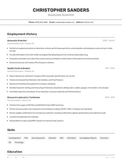 Resume example 2